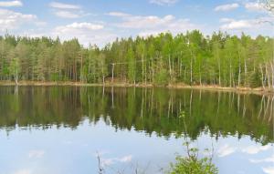 a view of a lake with trees in the background at Amazing Home In Burseryd With Kitchen in Burseryd +14 photos