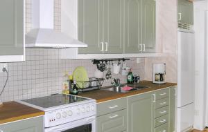 a kitchen with green cabinets and a sink and a stove at Amazing Home In Burseryd With Kitchen in Burseryd