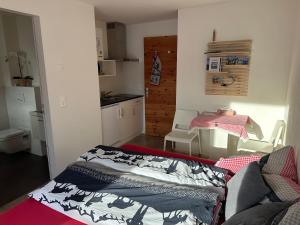 a living room with a couch and a table at Kleines aber feines Studio in Zuoz