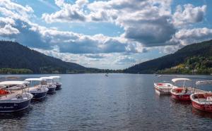 a group of boats are docked on a lake at Gérardmer Centre, Calme, 95m Spacieux in Gérardmer