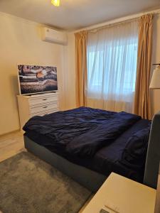a bedroom with a bed and a window at Rowlands Way 3 in Ţegheş +31 photos