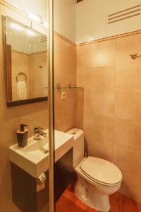 a bathroom with a toilet and a sink at Allotjaments Plaça Major-Aulina in Santa Pau