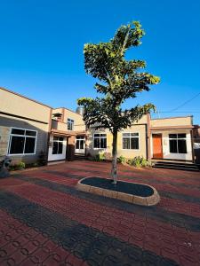 a tree in a circle in front of a building at Cj VILLA in Karatu