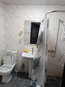 a bathroom with a toilet and a sink at Jermuk Calm House in Jermuk