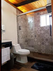 a bathroom with a toilet and a shower at Casa de Campo Huasca - Centro in Huasca de Ocampo