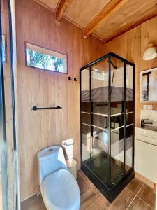 a bathroom with a glass shower and a toilet at Tiny House Pangal in Pichilemu