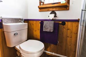 a bathroom with a white toilet and a blue towel at Finest Retreats - Weardale Shepherds Hut in Bishop Auckland