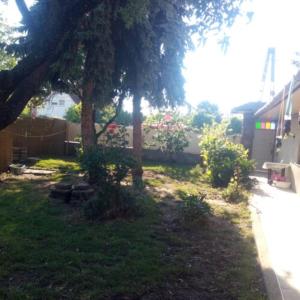 a yard with a tree and some bushes at InterSoul Apartman in Gyöngyös