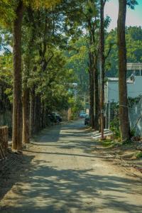 a road with trees on both sides of it at Echoes of Doon in Rājpur