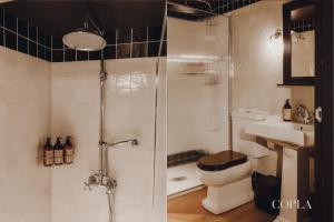 a bathroom with a shower and a toilet and a sink at Copla Bilbao in Bilbao +23 photos