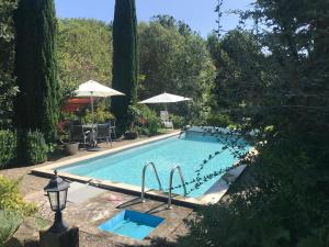an empty swimming pool with an umbrella and an umbrella at Ferienwohnung Menz - Alte Mühle - mit Milseburgblick und Gartenpool in Hofbieber