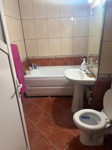 a bathroom with a tub and a toilet and a sink at Kay Borsa in Alba Iulia