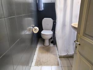 a bathroom with a toilet and a shower curtain at Spiros old town apartment in Corfu +8 photos
