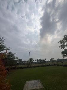 a kite flying in the sky over a field at MJ paddy view Homestay in Kumarakom