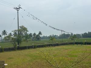 a field with a fence and a field with trees at MJ paddy view Homestay in Kumarakom