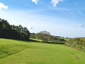 a large green field with trees in the distance at Tregunna Cottage in Wadebridge