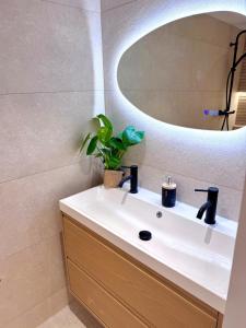 a bathroom with a white sink and a mirror at Appartement Toulouse - Quartier des Chalets in Toulouse