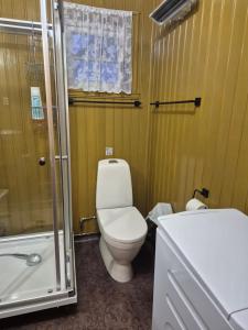 a bathroom with a toilet and a shower and a sink at Sjøhaug Rorbu, Fishcermanns cabin in Moskenes