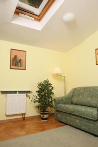 ein Wohnzimmer mit einer grünen Couch und einer Pflanze in der Unterkunft Hostel Va Bank in Rzeszów