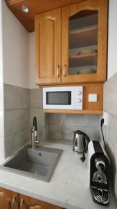 a kitchen counter with a sink and a microwave at Penzion Pollet in Pilsen +7 photos