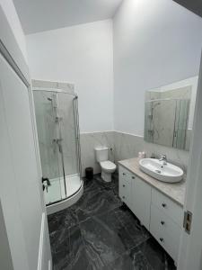 a bathroom with a shower and a sink and a toilet at Rădăuți Residence 3 in Rădăuţi