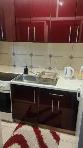 a kitchen with a sink and a counter top at Apartman Biser in Trebinje