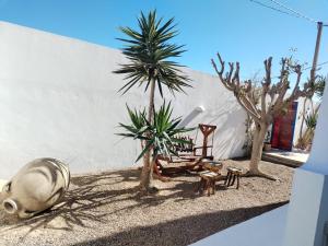 a yard with palm trees and a building at Maison Cally in Midoun +2 photos