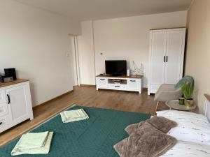 a living room with a bed and a tv at City Lights Apartament in Barlinek