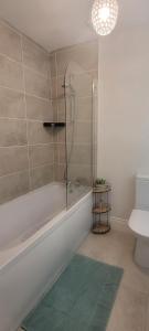 a bathroom with a shower and a tub and a toilet at The Mourne Nest in Newcastle +6 photos