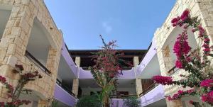 a building with pink flowers in the courtyard at Ocean Breeze in Sal Rei