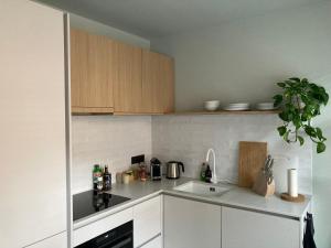 a kitchen with white cabinets and a sink at Allies Avenue in Leuven