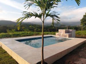 a palm tree sitting next to a swimming pool at Sansalo Lounge Capira in Lídice