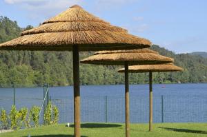 two straw umbrellas on the grass near a body of water at Quinta do Olival - Douro Valley in Sande