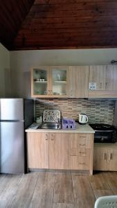 a kitchen with wooden cabinets and a stainless steel refrigerator at Antzela Apartments in Sidari