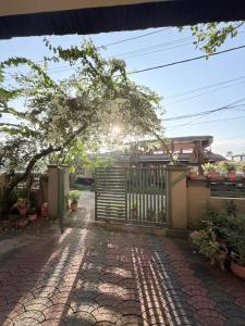 a gate in a yard with a fence and a tree at sacred river homestay in Alleppey +20 photos