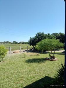 a park with a tree in the middle of a field at Casa de Alquiler Cláudia in Pântano Grande