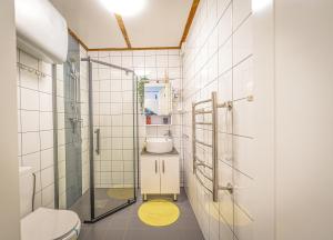 a bathroom with a shower and a toilet at Lazy Deer - Camp in Staniszów +79 photos