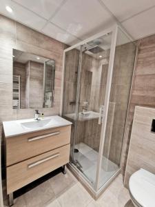 a bathroom with a shower and a sink and a toilet at Appartement 3 étoiles - eecfga in Saint-Lizier