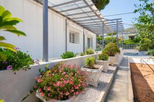 a row of potted plants on the side of a building at Livingstone House in Porto Rafti