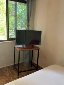 a tv sitting on a table in a bedroom at hospedaje ecopolis birds in El Queremal