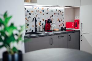 a kitchen with a sink and a counter top at KNB City Suites in Odorheiu Secuiesc