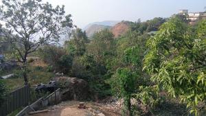a view of a hill with trees on it at Roamwander doublerooms in Vagamon