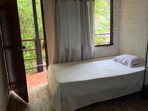 a bed in a room with a window at hospedaje ecopolis birds in El Queremal +100 photos