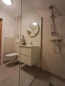 a bathroom with a shower and a toilet and a sink at Tindelykke in Isfjorden