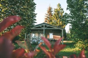 a gazebo in a garden with red flowers at Chalet 3 étoiles - Piscine - eebbhf in Beynat