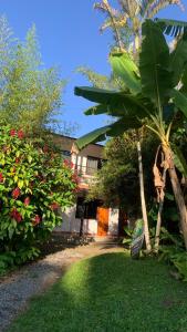 a house with a palm tree next to a yard at hospedaje ecopolis birds in El Queremal