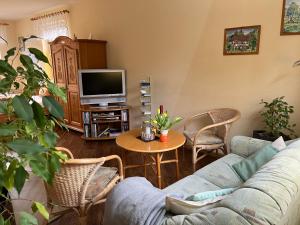 a living room with a couch and a tv at Ferienwohnung Anna in Benneckenstein