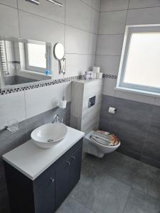 a bathroom with a sink and a toilet at Ferienhaus Lilja mit Grill Kamin eignes großes Grundstück und Außenpool in Trzęsacz +29 photos