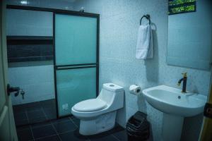 a bathroom with a toilet and a sink at Hotel D' Palacio Real in San Miguel