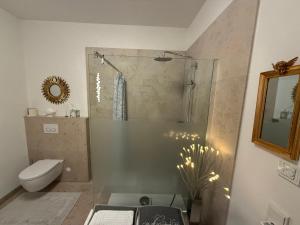 a bathroom with a shower and a toilet at Ferienwohnung Burgenblick mit Blick auf Riedenburg in Riedenburg